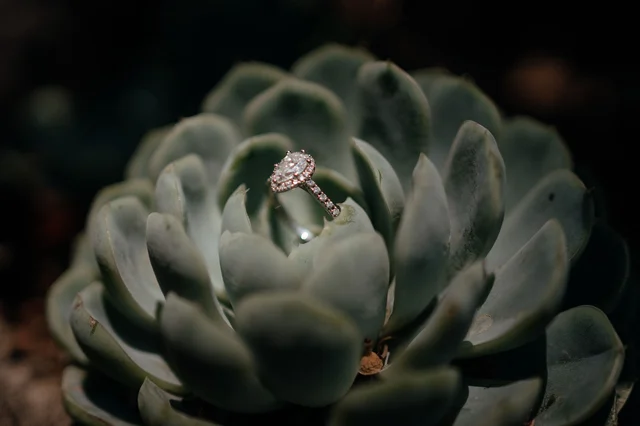 Wedding in Casa Pedro Loza