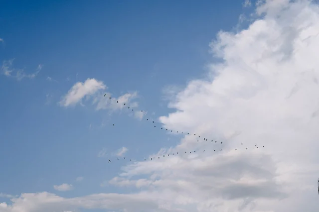 Boda en Casa Pedro Loza