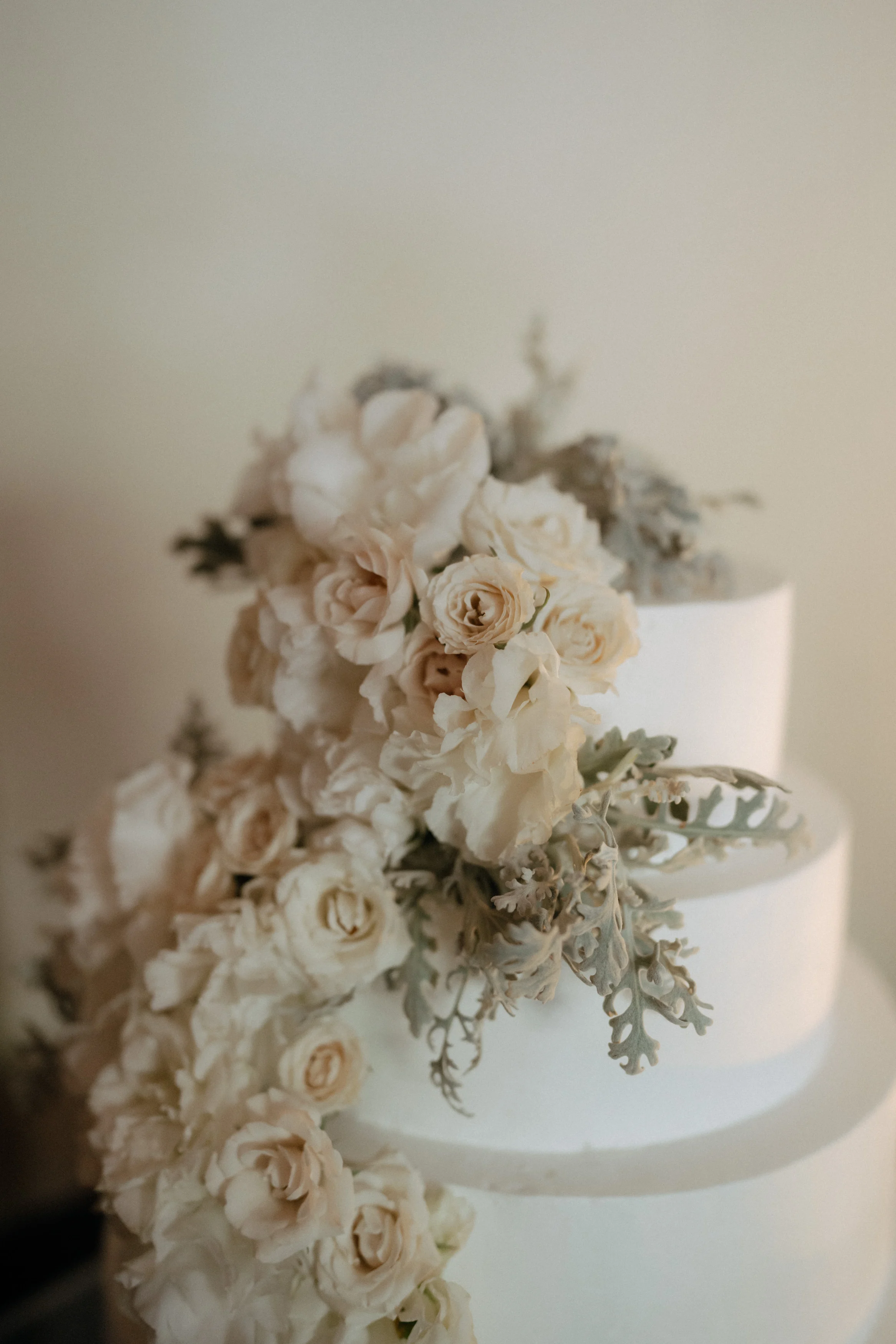 Boda en Mansión Magnolia